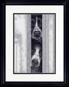 Набір для вишивання хрестиком "Peeking Pups//Визираючі цуценята" DIMENSIONS 35400