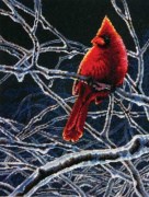 Набір для вишивання хрестиком "Крижаний кардинал//Ice Cardinal" DIMENSIONS 70-35292