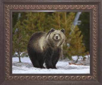 Ткань с нанесенным рисунком СБ-175, Чаривна Мить для вышивания бисером картин 