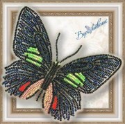 Набор для вышивки бисером Вдохновение Бабочка Parides sesostris zestos