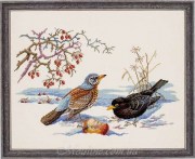 Набор для вышивания Eva Rosenstand 12-543 Птицы / Birds