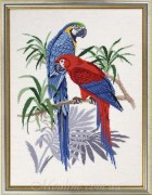 Набор для вышивания Eva Rosenstand 12-765 Синие Ары / Blue macaws