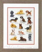 70-35353 Набір для вишивання хрестом DIMENSIONS, Dog Sampler / Породи собак