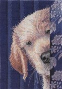 Heirloom Collection I Didn't Do It Counted Cross Stitch Kit