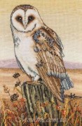 Набор для вышивания Сова на горизонте / Owl Horizon ANCHOR PCE604