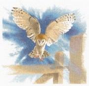 Набор для вышивания крестом Сова в полете / Owl in Flight Heritage Crafts H483
