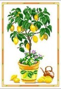Набор для вышивания Чарівниця N-2604 Лимонное деревце