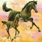 Набор для вышивания Риолис РТ-0004 Лошадь с жеребенком