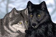 Волки вышивка бисером А-строчка ткань с рисунком