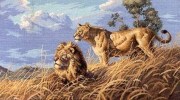 03866 Набор для вышивания DIMENSIONS Африканские львы