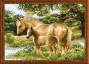 Набор для вышивания Риолис 1258 Лошадь с жеребенком