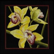 Набор для вышивания РТО M264 Орхидеи Цимбидиум