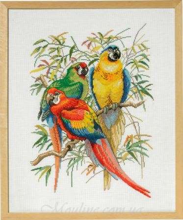Набор для вышивания Eva Rosenstand 72-292 Попугаи / Parrots