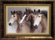 Набір для вишивання хрестиком Чарівна Мить М-04 "Вільні конячки"